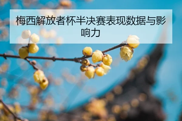 mei-xi-jie-fang-zhe-bei-ban-jue-sai-biao-xian-shu-ju-yu-ying-xiang-li-2-717.jpg