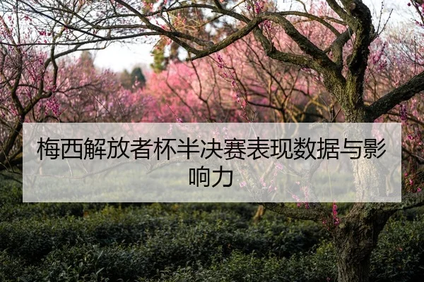 mei-xi-jie-fang-zhe-bei-ban-jue-sai-biao-xian-shu-ju-yu-ying-xiang-li-1-854.jpg